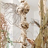 Upsurgea; installation detail
