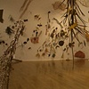 Fertile Ground