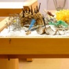 Natural History II