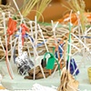 Natural History II, detail
