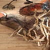 Off Spring; installation detail