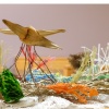 Natural History II, detail