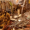 Ground Springs III (detail)