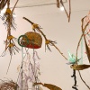 Ecosystems/Installations