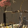 Ground Springs, detail