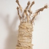 Fertile Ground #5