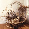Ground Springs III