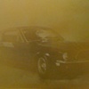Mustang Mustang Mustang (detail)