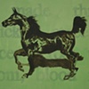 Staccato Pony