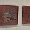 Wasted Youth, Installation 