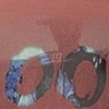 Shoot, detail 
