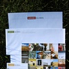 amani global consulting identity package