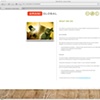 amani global consulting website subpages