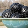 leather balls