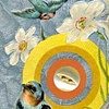 bird card