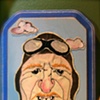 fly guy