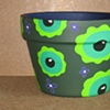 Greeneye pot