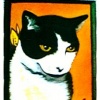 Kali