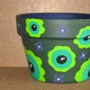Greeneye pot