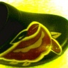 Yellowflower