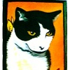 Pet  Portraits