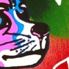 Chi1