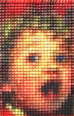 ONE THOUSAND CRANE PORTRAIT