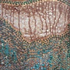 Be Jeweled