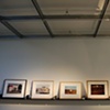 Exhibition:
"Preview of Christie's Sale 'Photographs By William Eggleston From The Collection From the Collection Of Bruce And Nancy Berman'"
William Eggleston
Moss Gallery, Los Angeles
2008

Co-Curated and Co-Organized by Dane Jensen
