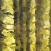 Lost Woods (Part II)