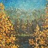 Colorado Aspens