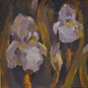 Iris Study