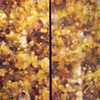 Twin Aspens