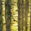 Lost Woods (Part I)