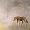 The Storm