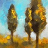 Cyprus Trees