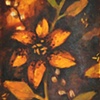 Tiger Lily