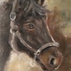 An Old Friend