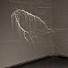 Somewhere In-Between, MFA Exhibition