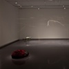 Somewhere In-Between, MFA Exhibition