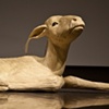 The Blonde Fawn