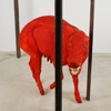 The Boar