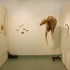 The Remains