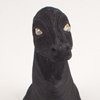 The Mask
