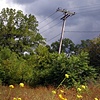 Untitled 8