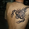 Monk3ys Tattoo.
