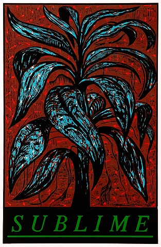 Softly in Indiana in Deep Red and Blue with Arrows