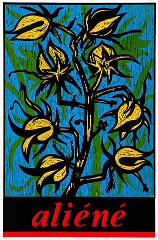 Smack-Smack in Yellow and Blue Straight