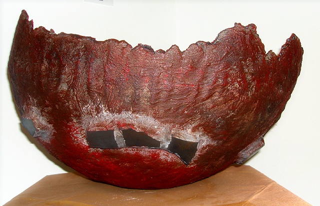 Fragile Earth by Heather Vollans
