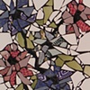 'Clematis' 1 by Donna Lieberman